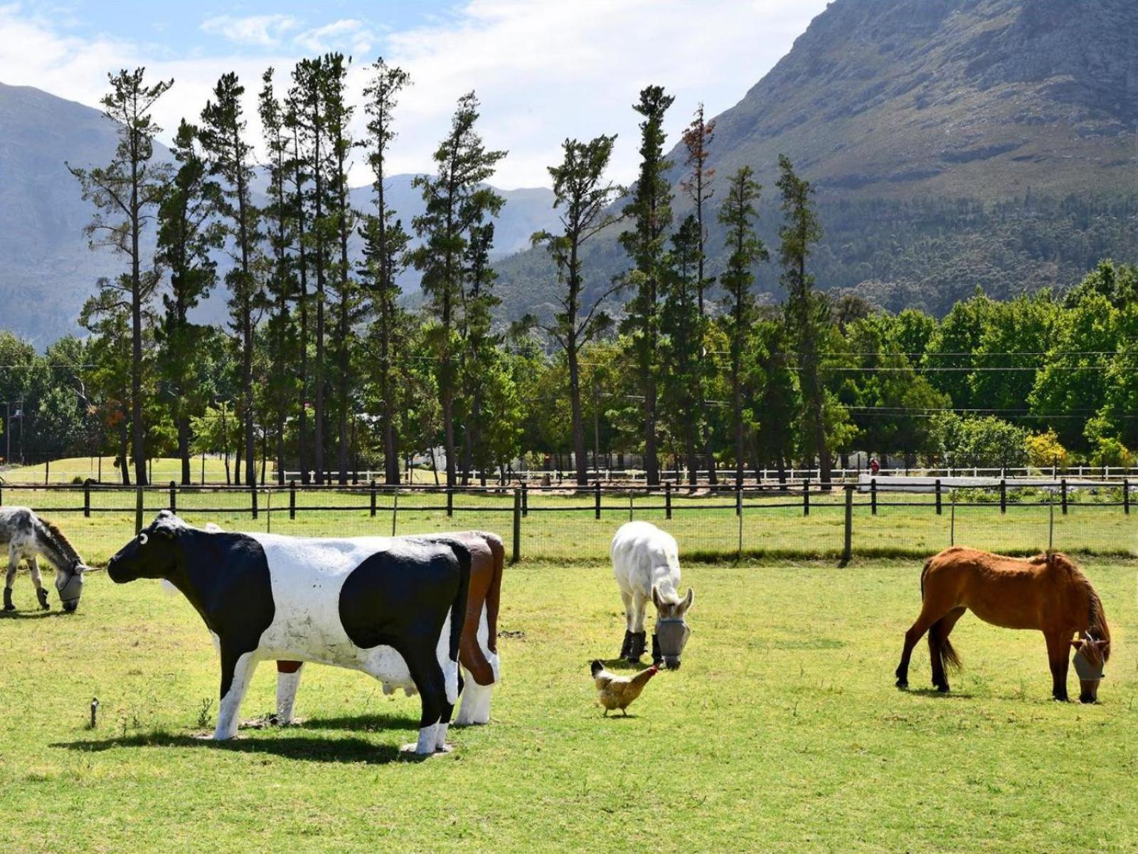 Auberge La Dauphine Guest House Franschhoek Exterior photo