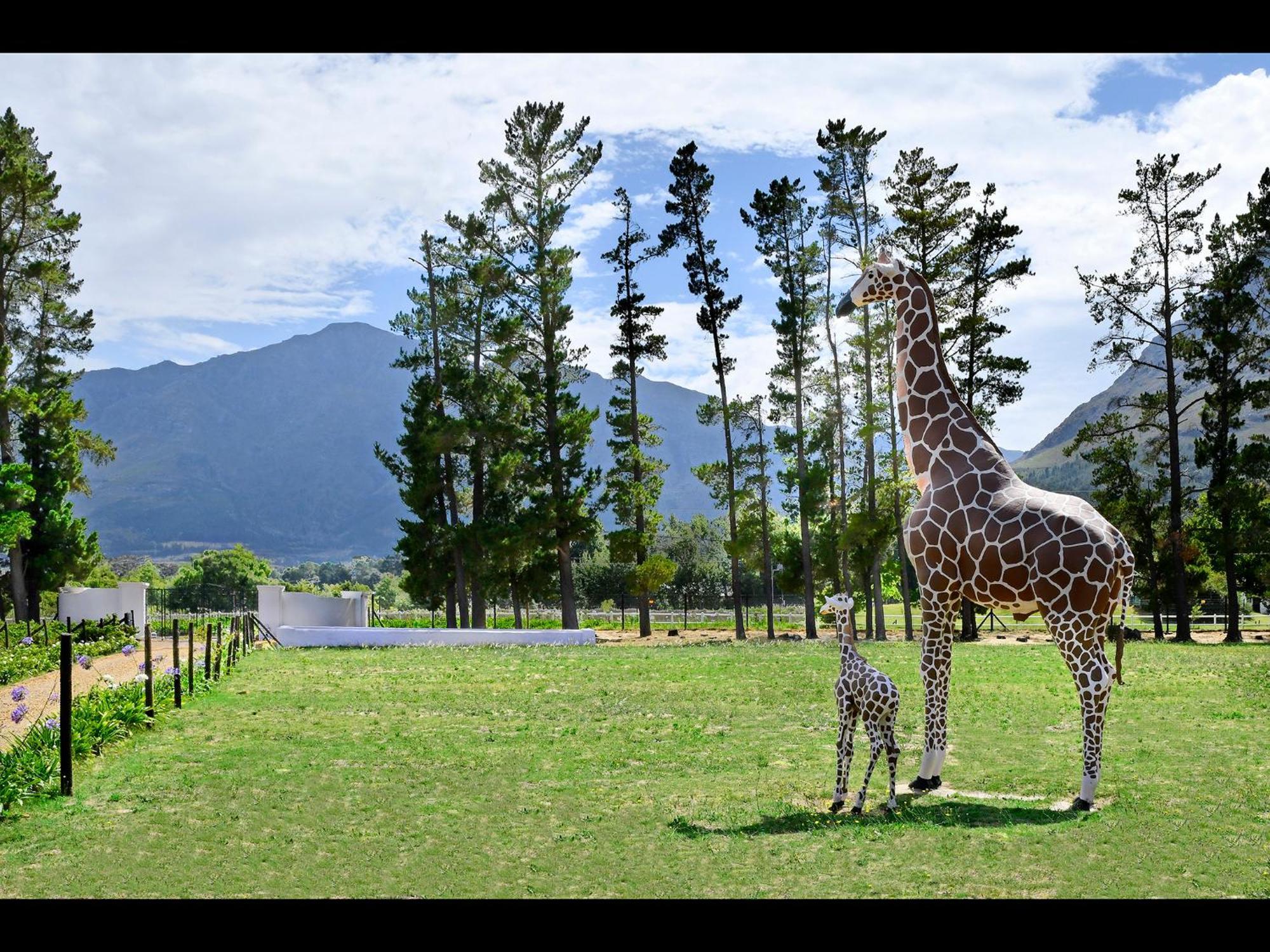 Auberge La Dauphine Guest House Franschhoek Exterior photo